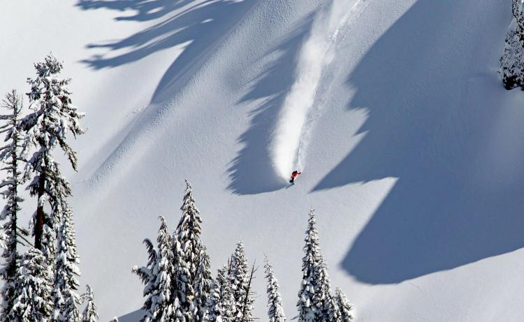 Person snowboarding down slope of fresh powder