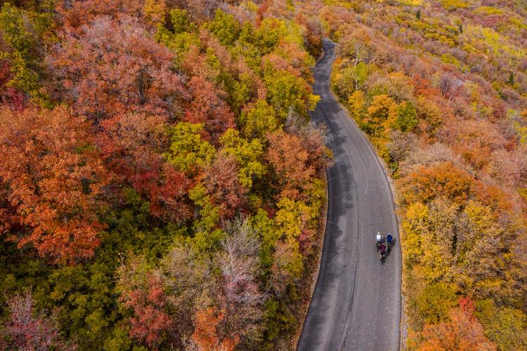 Aerial shot of people road cycling on a beautiful fall day